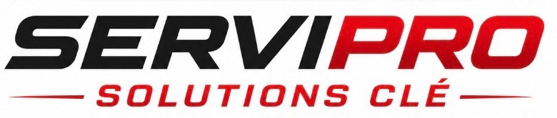 Logo de l'entreprise pour le site web